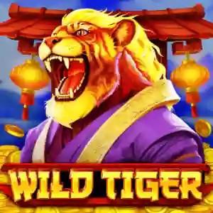 Try Wild Tiger slot by BGAMING on circus-belgium.be – logo image